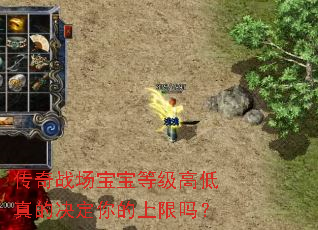 传奇战场宝宝等级高低真的决定你的上限吗? 传奇战场宝宝等级高低真的决定你的上限吗?