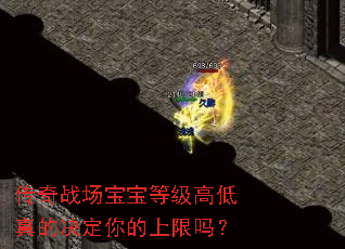 传奇战场宝宝等级高低真的决定你的上限吗? 传奇战场宝宝等级高低真的决定你的上限吗?