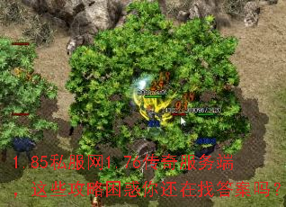 1.85私服网1.76传奇服务端,这些攻略困惑你还在找答案吗? 1.85私服网1.76传奇服务端,这些攻略困惑你还在找答案吗?