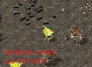 ���³���սʿְҵ��ô����ʵ����죿