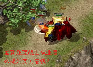 ���³���սʿְҵ��ô����ʵ����죿