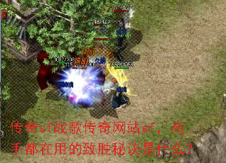 ����sfս�贫����վsf�����ֶ����õ���ʤ�ؾ���ʲô��