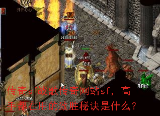 ����sfս�贫����վsf�����ֶ����õ���ʤ�ؾ���ʲô��