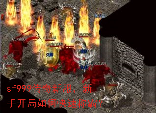 sf999传奇新服,新手开局如何快速称霸? sf999传奇新服,新手开局如何快速称霸?