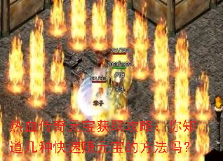 热血传奇元宝获取攻略:你知道几种快速赚元宝的方法吗? 热血传奇元宝获取攻略:你知道几种快速赚元宝的方法吗?