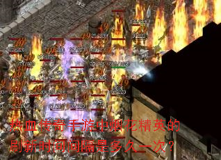热血传奇手游中烟花精英的刷新时间间隔是多久一次? 热血传奇手游中烟花精英的刷新时间间隔是多久一次?