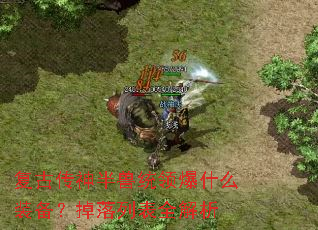 复古传神半兽统领爆什么装备?掉落列表全解析 复古传神半兽统领爆什么装备?掉落列表全解析