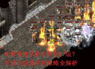 如何快速从新手升到17级?无忧训练营冲刺攻略全解析 如何快速从新手升到17级?无忧训练营冲刺攻略全解析
