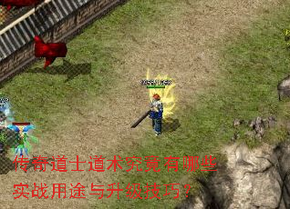 传奇道士道术究竟有哪些实战用途与升级技巧? 传奇道士道术究竟有哪些实战用途与升级技巧?