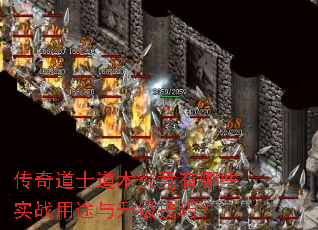 传奇道士道术究竟有哪些实战用途与升级技巧? 传奇道士道术究竟有哪些实战用途与升级技巧?