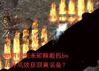 ��α��δ֪�����boss����Ч��ȡ��װ����