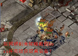 ��α��δ֪�����boss����Ч��ȡ��װ����