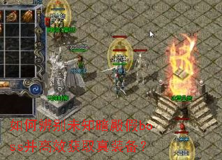 ��α��δ֪�����boss����Ч��ȡ��װ����