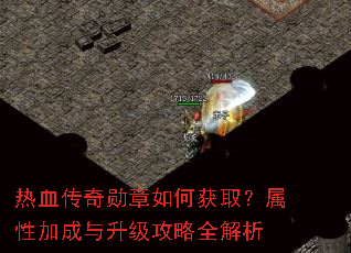��Ѫ����ѫ����λ�ȡ�����Լӳ�����������ȫ����