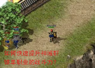 如何快速提升神域轩辕单职业的战斗力? 如何快速提升神域轩辕单职业的战斗力?