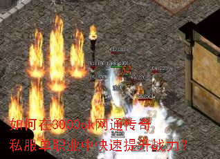 如何在3000ok网通传奇私服单职业中快速提升战力? 如何在3000ok网通传奇私服单职业中快速提升战力?
