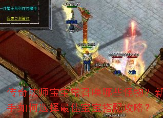 传奇法师宝宝常召唤哪些怪物?新手如何选择最佳宝宝搭配攻略? 传奇法师宝宝常召唤哪些怪物?新手如何选择最佳宝宝搭配攻略?