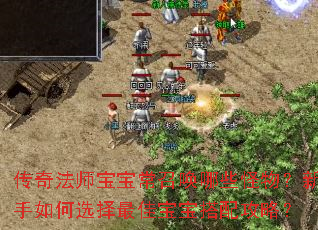 传奇法师宝宝常召唤哪些怪物?新手如何选择最佳宝宝搭配攻略? 传奇法师宝宝常召唤哪些怪物?新手如何选择最佳宝宝搭配攻略?