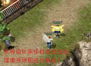 低等级玩家挂机时应该选择哪些地图进行练级? 低等级玩家挂机时应该选择哪些地图进行练级?