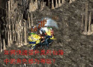 如何快速提升灵府仙缘中的角色修为等级? 如何快速提升灵府仙缘中的角色修为等级?