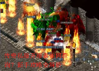 传奇私服开服表如何查询?新手攻略全解析 传奇私服开服表如何查询?新手攻略全解析
