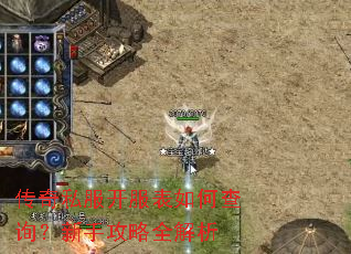 传奇私服开服表如何查询?新手攻略全解析 传奇私服开服表如何查询?新手攻略全解析