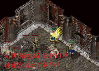 如何快速找到白日门丛林迷宫的出口路径? 如何快速找到白日门丛林迷宫的出口路径?