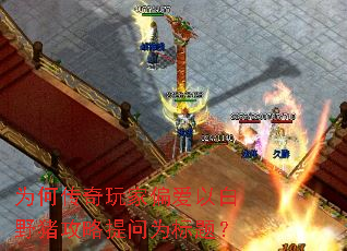 Ϊ�δ������ƫ���԰�Ұ����������Ϊ���⣿