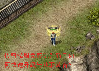传奇私服免费玩?新手如何快速升级与获取装备? 传奇私服免费玩?新手如何快速升级与获取装备?