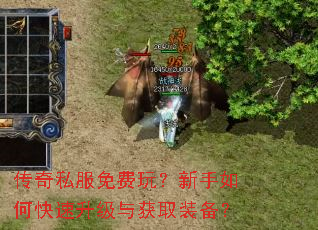传奇私服免费玩?新手如何快速升级与获取装备? 传奇私服免费玩?新手如何快速升级与获取装备?