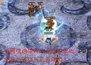 ��ο�������������ְҵ�����ɫ�ȼ���װ��ս����