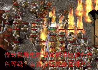传奇私服电脑版如何快速提升角色等级?装备获取攻略有哪些? 传奇私服电脑版如何快速提升角色等级?装备获取攻略有哪些?