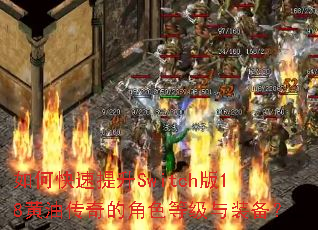 如何快速提升Switch版18黄油传奇的角色等级与装备? 如何快速提升Switch版18黄油传奇的角色等级与装备?