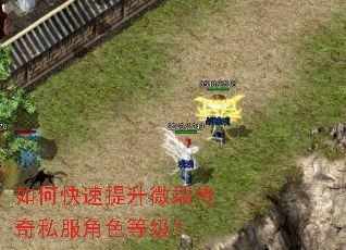 如何快速提升微端传奇私服角色等级? 如何快速提升微端传奇私服角色等级?