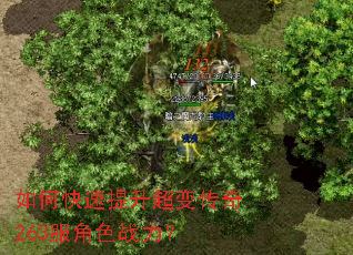 如何快速提升超变传奇263服角色战力? 如何快速提升超变传奇263服角色战力?