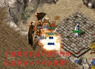 了解其他职业对提升传奇私服游戏水平有多重要? 了解其他职业对提升传奇私服游戏水平有多重要?