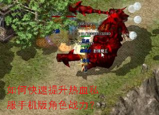 如何快速提升热血私服手机版角色战力? 如何快速提升热血私服手机版角色战力?