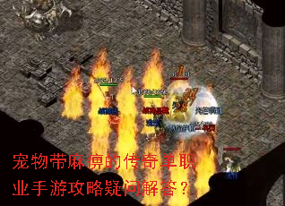 �������ԵĴ��浥ְҵ���ι������ʽ��
