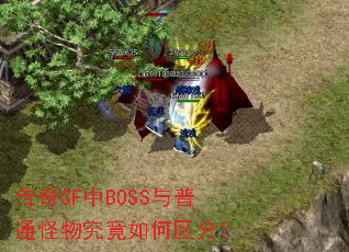 传奇SF中BOSS与普通怪物究竟如何区分? 传奇SF中BOSS与普通怪物究竟如何区分?