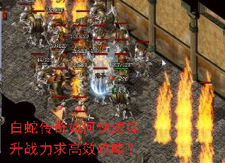 白蛇传奇如何快速提升战力求高效攻略? 白蛇传奇如何快速提升战力求高效攻略?