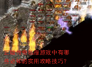正版传奇私服游戏中有哪些必知的实用攻略技巧? 正版传奇私服游戏中有哪些必知的实用攻略技巧?