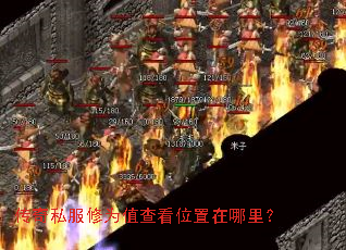 ����˽����Ϊֵ�鿴λ�������