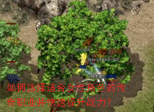 如何选择适合女性角色的传奇职业并快速提升战力? 如何选择适合女性角色的传奇职业并快速提升战力?