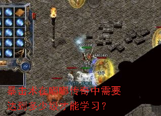 暴击术在嘟嘟传奇中需要达到多少级才能学习? 暴击术在嘟嘟传奇中需要达到多少级才能学习?