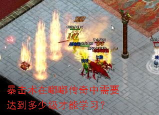 暴击术在嘟嘟传奇中需要达到多少级才能学习? 暴击术在嘟嘟传奇中需要达到多少级才能学习?