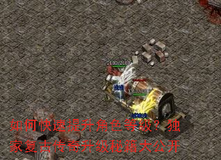 如何快速提升角色等级?独家复古传奇升级秘籍大公开 如何快速提升角色等级?独家复古传奇升级秘籍大公开