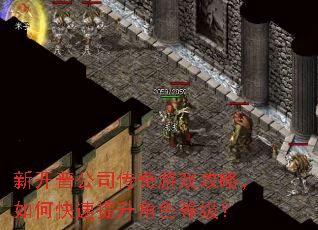 新开普公司传奇游戏攻略,如何快速提升角色等级? 新开普公司传奇游戏攻略,如何快速提升角色等级?