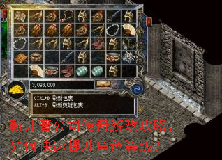 新开普公司传奇游戏攻略,如何快速提升角色等级? 新开普公司传奇游戏攻略,如何快速提升角色等级?