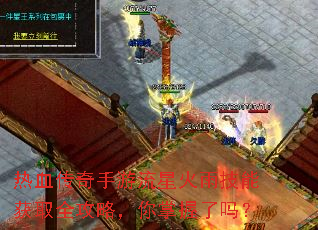 热血传奇手游流星火雨技能获取全攻略,你掌握了吗? 热血传奇手游流星火雨技能获取全攻略,你掌握了吗?