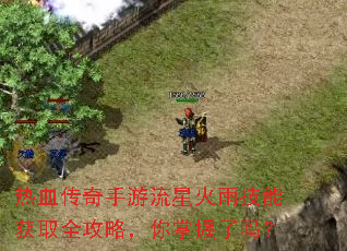 热血传奇手游流星火雨技能获取全攻略,你掌握了吗? 热血传奇手游流星火雨技能获取全攻略,你掌握了吗?